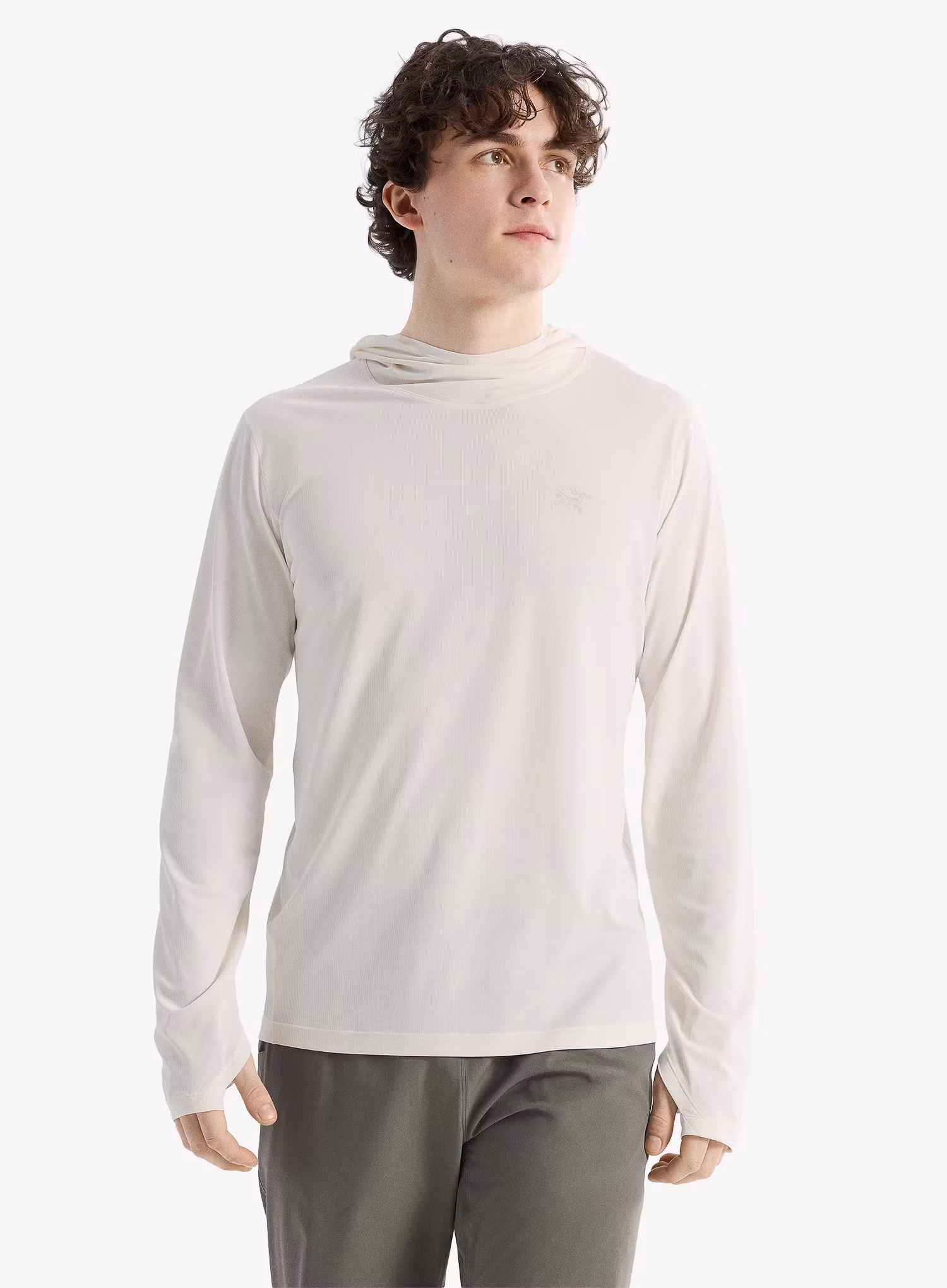 qweArcteryxCormacHoodyarcticsilk623555816041e.webp