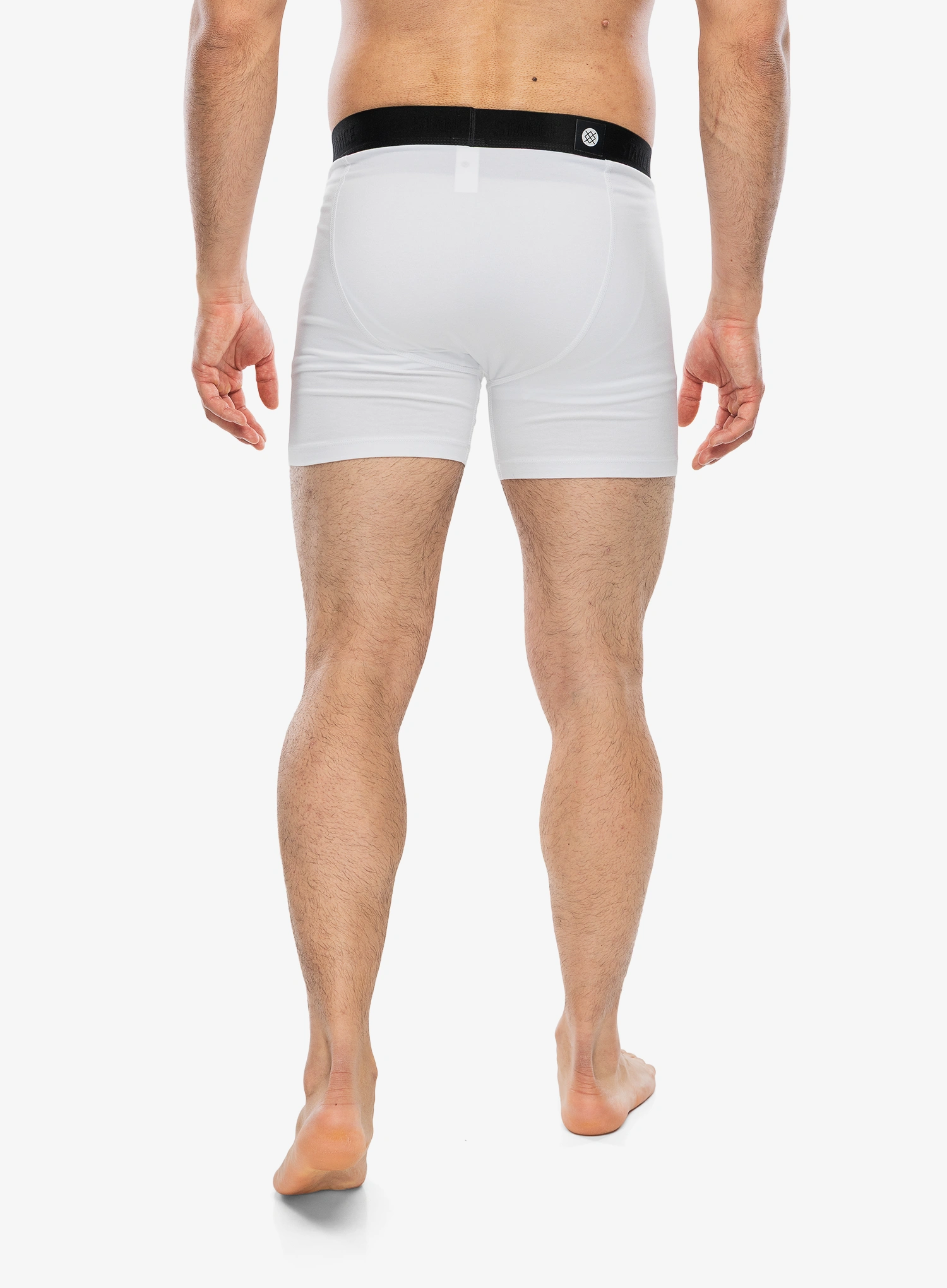 Stance Boxer Brief 3 Pack Termoaktív boxeralsó - multi