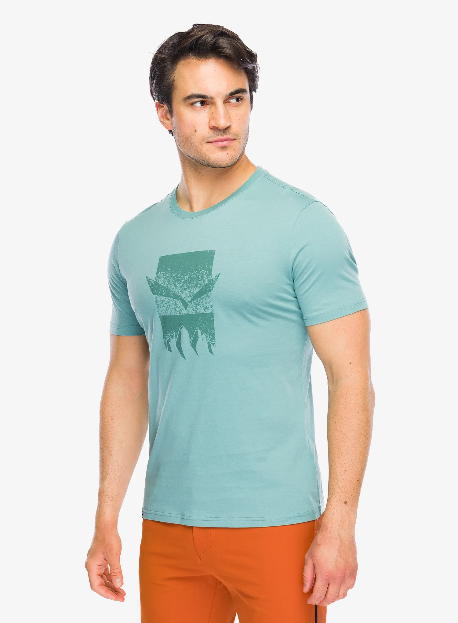 SalewaEagle3CimeT_Shirtwillow4053866856959d.webp