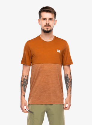 Ortovox150CoolLogoTSbristlebrown4255736203935h.webp