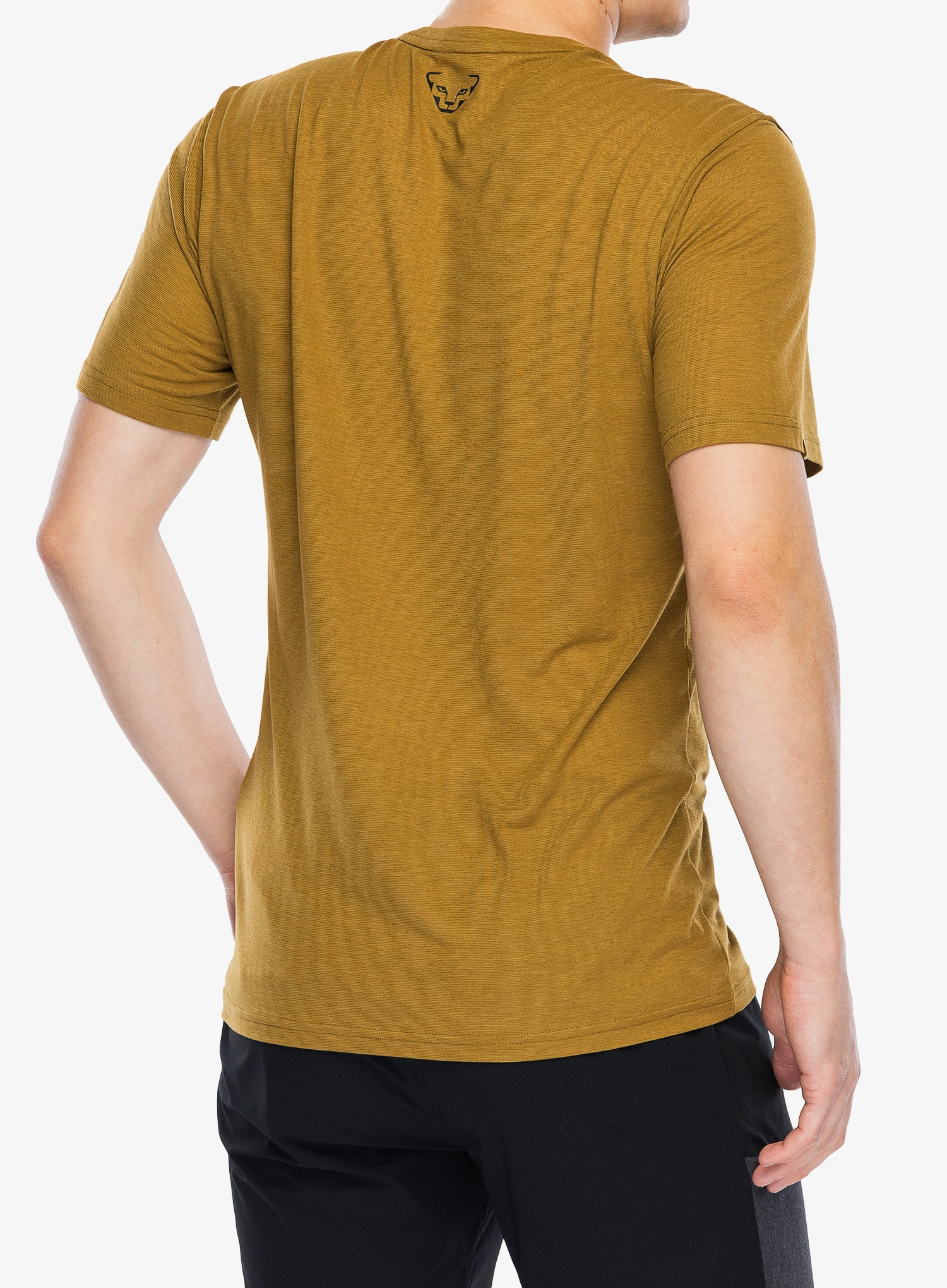 Dynafit Transalper Graphic S/S Tee Gyorsan száradó póló - relic/black out