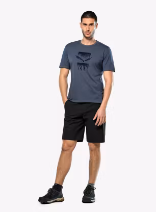 Salewa Eagle 3Cime T-Shirt Nyomtatott póló - java blue