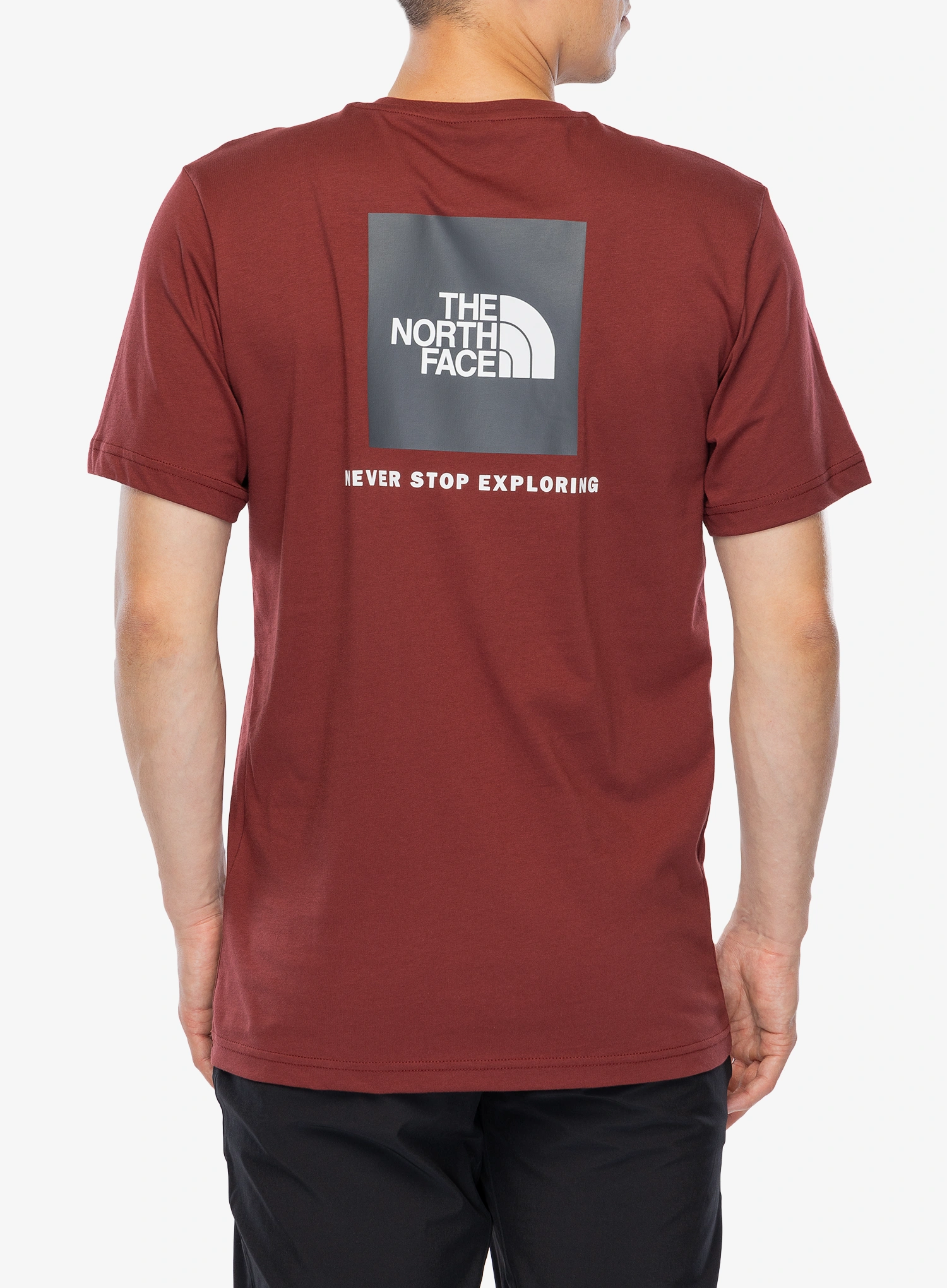 The North Face S/S Redbox Tee Nyomtatott póló - sumac/asphalt grey