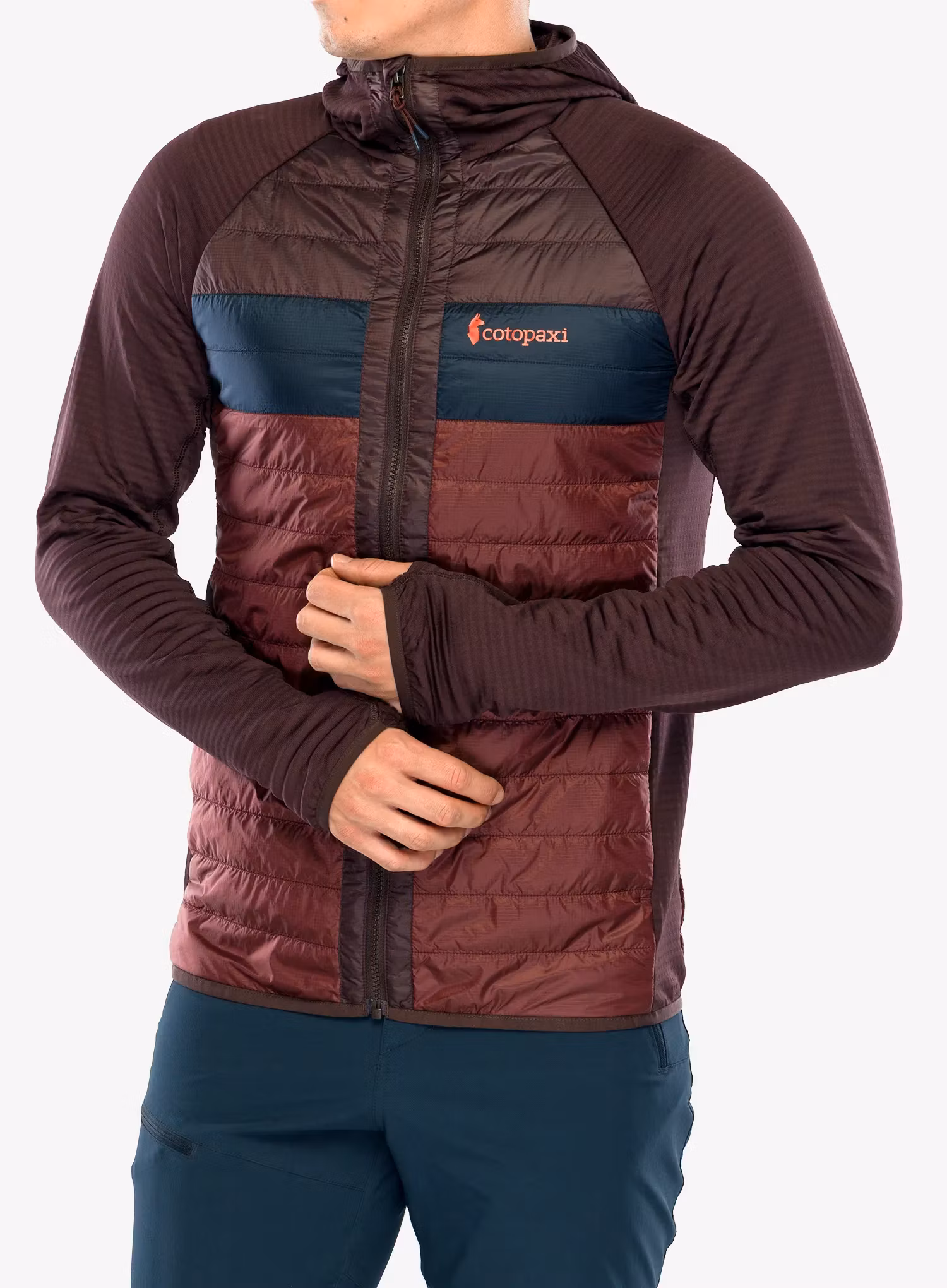 CotopaxiCapaHybridInsulatedHoodedJacket_coffeechestnut_196928128572_466.webp