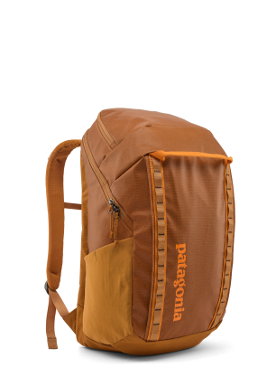 PatagoniaBlackHolePack32L_cinnamonbrown_fw26_199346159159_270.webp