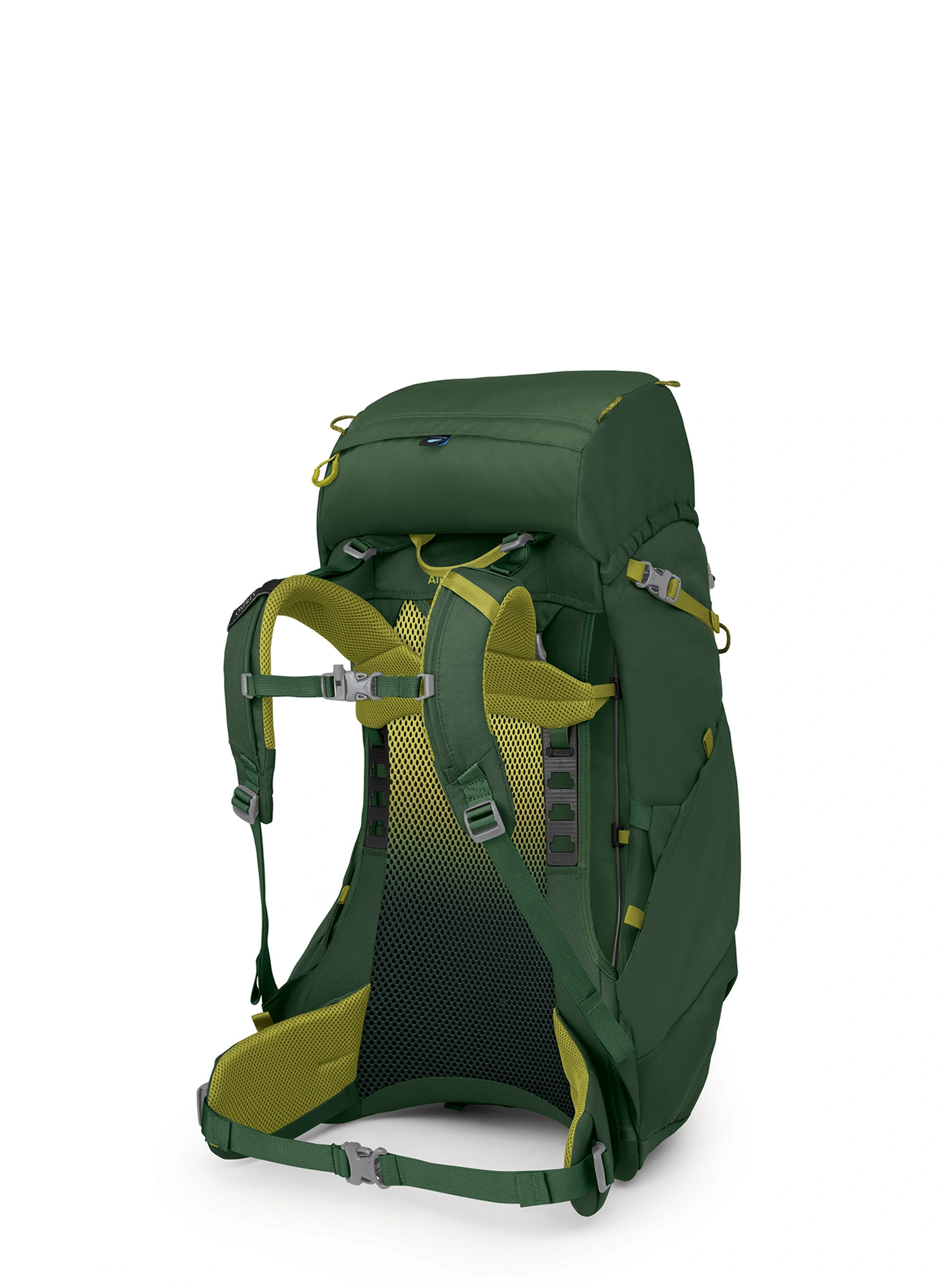 Osprey Ace 38 Gyerek túrahátizsák - green canopy