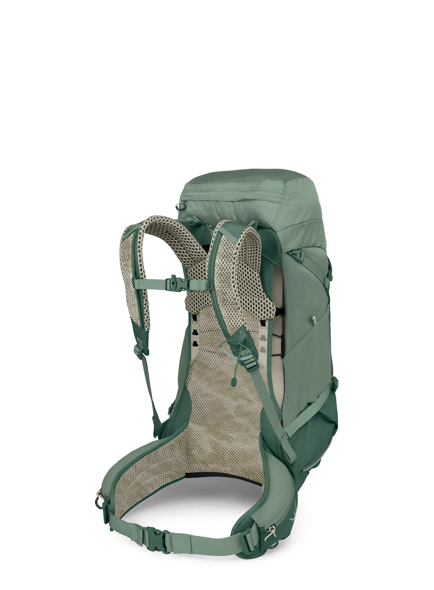 Osprey Stratos 36 Hátizsák kiránduláshoz - pine leaf green