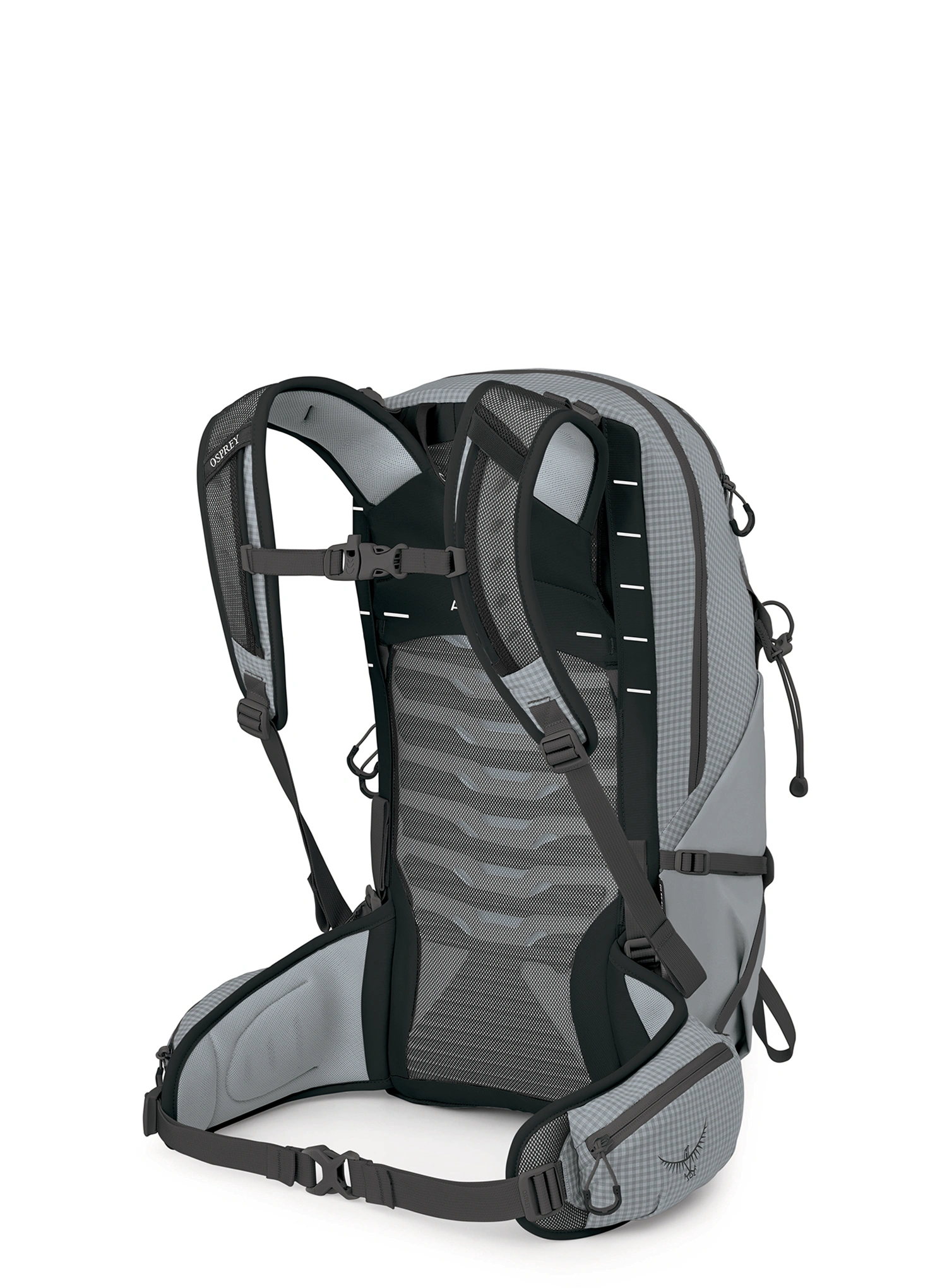 Osprey Talon Pro 20 Hátizsák kiránduláshoz - silver lining