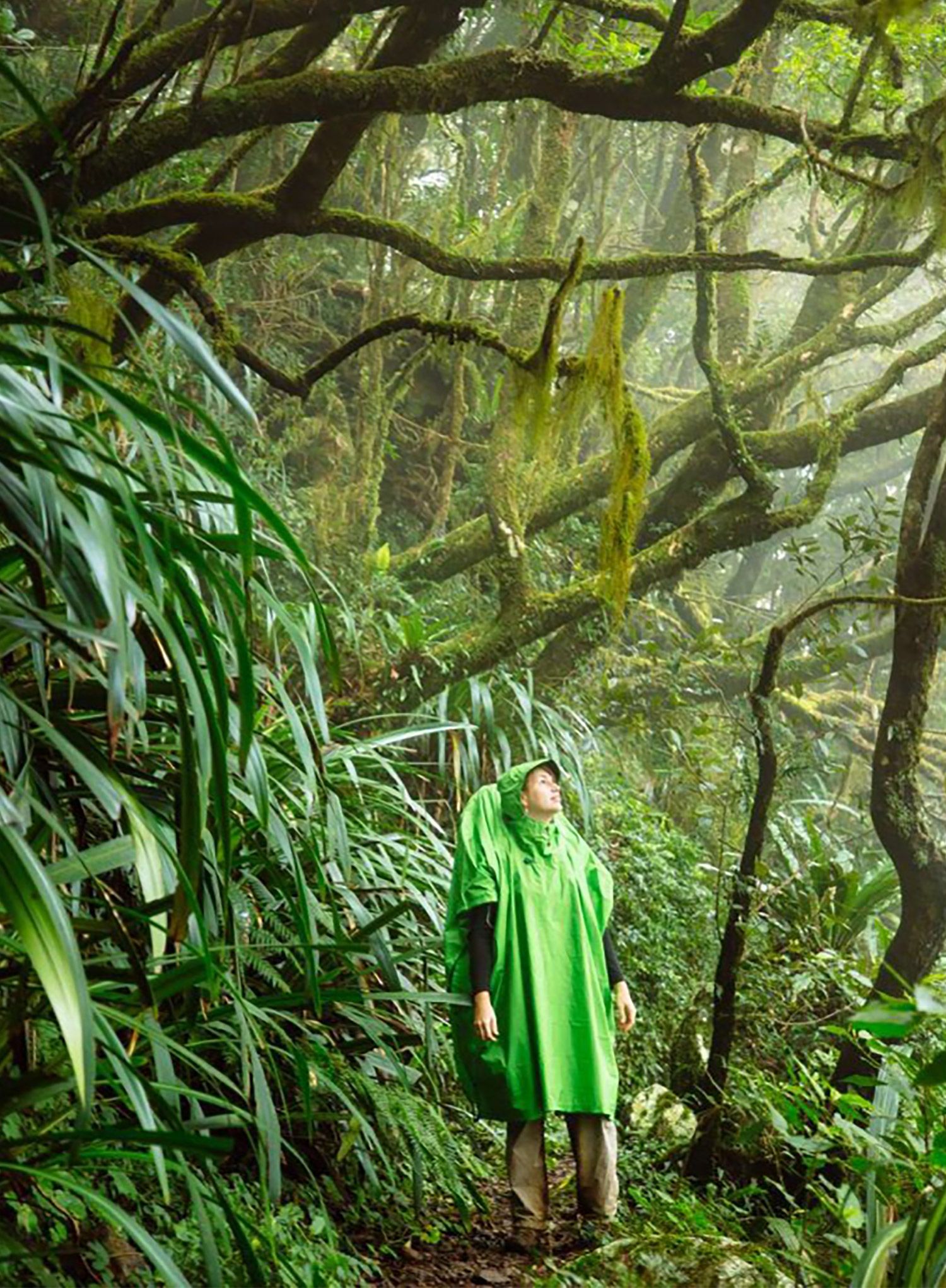 Sea To Summit Nylon Tarp Poncho Esőköpeny - green