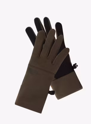 TheNorthFaceEtipRecycledGlove_newtaupegreen_fw26_196573157194_1_219.webp