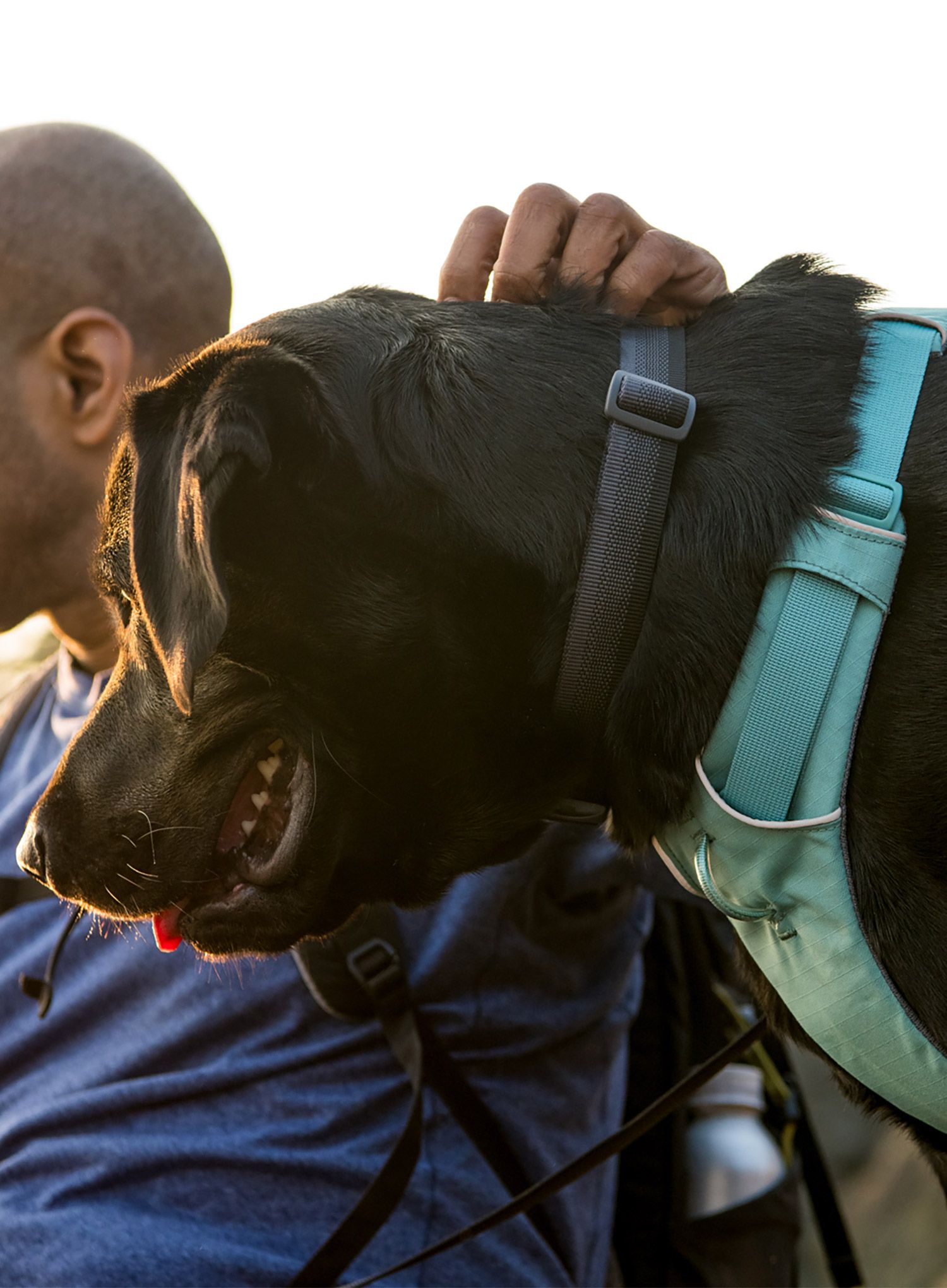 Ruffwear Front Range Harness L/XL Kutyaszíj - river rock green